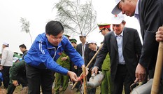 Phát động Tết trồng cây trong thanh niên cả nước