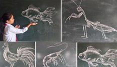 Hút mắt tranh vẽ con vật bằng phấn của thầy giáo 8X