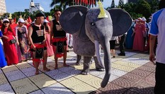Những món trợ lực ứng viên quán quân Đường lên đỉnh Olympia