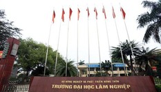 Bộ Giáo dục thanh tra 4 trường đại học