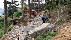 Giải tỏa hàng loạt công trình xây dựng trái phép trong rừng thông Đà Lạt