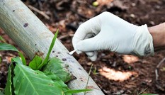Giám đốc Công an Lâm Đồng: Sớm thực nghiệm hiện trường vụ 3 bà cháu bị sát hại
