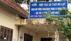 Giám đốc dùng bằng giả, HTX taxi với hàng trăm tài xế bị thu hồi giấy phép