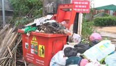 Chất thải độc hại ùn ứ trong hàng trăm thùng rác trên đường phố Đà Lạt