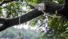 Lắp thêm 'mắt thần' theo dõi sau vụ cá Koi trên sông Tô Lịch đột ngột chết