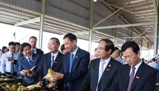 Khánh thành Trung tâm chế biến rau quả lớn nhất khu vực Tây Nguyên