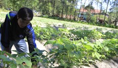 Dọc miền chân sóng - Kỳ 5: Chuyển hướng sinh nhai