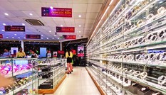 Thế Giới Di Động bán đồng hồ thời trang: Có tháng bán 50 ngàn chiếc, nhờ đâu?