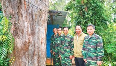 Vén màn bí ẩn Thủy tùng