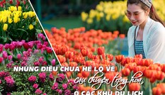 Những điều chưa hé lộ về câu chuyện trồng hoa ở các khu du lịch Những điều chưa hé lộ về câu chuyện trồng hoa ở các khu du lịch