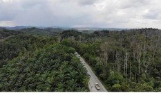 Indonesia muốn cho thuê đất công lấy tiền xây thủ đô mới