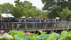 Hoa sen, biểu tượng kết nối tình hữu nghị Việt - Nhật