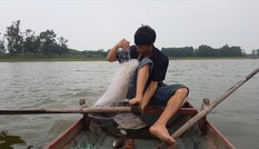 Phận người gạo chợ, nước sông