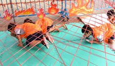 Dạy kỹ năng sống cho trẻ: Đừng để 'nhiệt tình cộng ngu dốt'