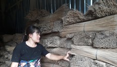 Làng hương lao đao