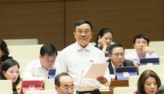 Bộ trưởng không nên là đại biểu Quốc hội?