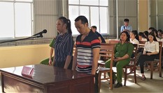 Luật sư vắng, nữ nhà báo 'vòi' tiền doanh nghiệp để gỡ bài xin hoãn xử
