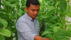 Gã 'khùng' 8X vay tiền 'xã hội đen' trồng rau sạch