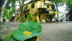 Khoảnh khắc Thu Hà Nội