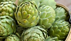3 cách nấu hoa atiso vừa ngon vừa chữa bệnh gan hiệu quả 3 cách nấu hoa atiso vừa ngon vừa chữa bệnh gan hiệu quả