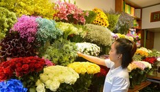 Hoa 'lạ' nhập ngoại bán ngập phố Sài Gòn dịp 20/10