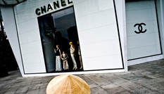 Người giàu Việt Nam sẽ tăng nhanh hàng đầu thế giới Người giàu Việt Nam sẽ tăng nhanh hàng đầu thế giới