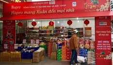 Chương trình kinh doanh phục vụ Tết Nguyên đán Kỷ Hợi 2019 của HAPRO Chương trình kinh doanh phục vụ Tết Nguyên đán Kỷ Hợi 2019 của HAPRO