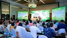 Cập nhật hiệu quả nhóm thuốc tiêm trong điều trị đái tháo đường