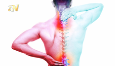 Thực hư khắc tinh của bệnh xương khớp trên thể trạng con người
