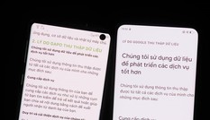 Nghi vấn mạng xã hội Gapo sao chép chính sách bảo mật của Google