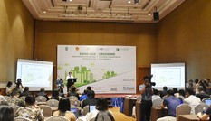 Triển vọng tươi sáng cho phân khúc nhà ở bình dân