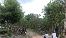 Kinh hãi phát hiện người đàn ông treo cổ bên bờ sông Sài Gòn