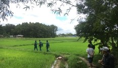 Phát hiện thi thể người phụ nữ lõa thể trên ruộng lúa