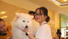 Hoa hậu Thái Lan dẫn thú cưng đến Việt Nam dự thi Hoa hậu chó