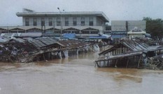 ‘Cơn đại hồng thủy’ miền Trung: Hoạn nạn mới biết lòng người