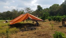 Phát hiện thi thể người đàn ông đang phân hủy trong vườn cà phê