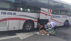 Hơn 2 tạ thịt dê không đảm bảo vệ sinh chuẩn bị lên bàn nhậu