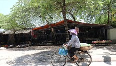 Hàng trăm dự án 'giậm chân' tại chỗ