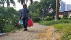 Dọn vườn hoa bằng… thuốc diệt cỏ?
