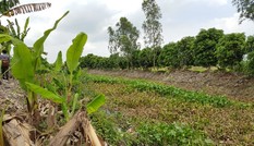 Người đàn ông sát hại hàng xóm, dìm thi thể dưới kênh