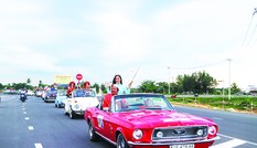 Ông Sang Palm - Cho & Chơi