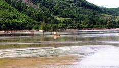 Tôm chết hàng loạt bên túi bùn 'khủng' ven vịnh Chân Mây