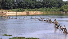 Vụ dàn 'trận địa' cọc tre chống cát tặc trên sông: Lãnh đạo tỉnh đã chỉ đạo gì?