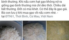 Cà Mau thông tin chính thức vụ nghi gạo giả, nấu không nở