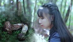 Dân mạng thích thú xem 'tiên nữ đồng quê' Lý Tử Thất cuốc đất trồng ngô