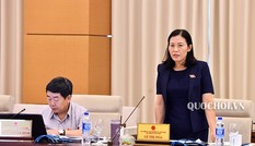 Chủ nhiệm Ủy ban Tư pháp: Có phiên biểu quyết vắng tới 70 - 80 đại biểu Quốc hội