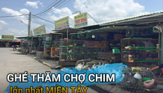 Ghé thăm chợ chim trời lớn nhất miền Tây