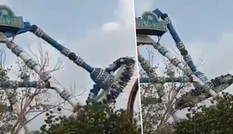 Hé lộ chấn động vụ đu văng gãy đôi, 31 người thương vong