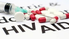 Lần đầu tiên diệt hết HIV ở chuột, tiến sát liệu pháp cứu người