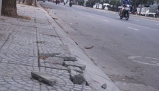 Vữa lát vỉa hè phục vụ APEC chỉ để ngăn... cỏ